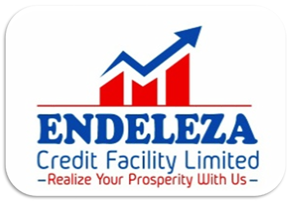 MicroFinance Logo
